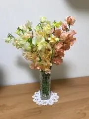 たまへいの画像