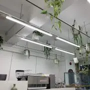 ☆の画像