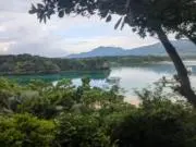 dukeの画像