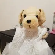 める