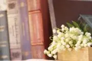 ふゆきの画像