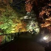 sagの画像