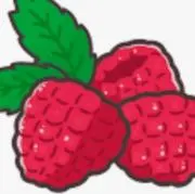 ラズベリーの画像
