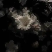 ㅇㅇの画像