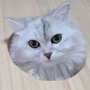 コチュジャン好き