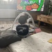 りぃーの画像