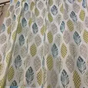 HYの画像