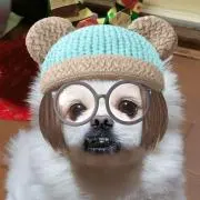はる