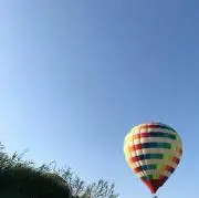 プルーンバルーン