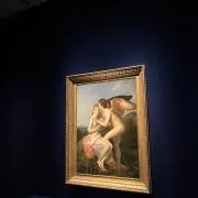 のぞみの画像