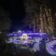 みきぽんの画像