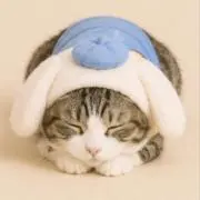 ヌコとままの画像