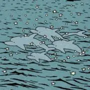 カイワレの画像