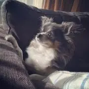 Mの画像