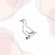 Kayの画像