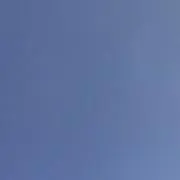 ゼリーの画像