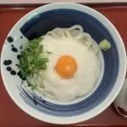 たぬきの画像