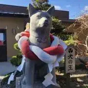 とよえもんの画像
