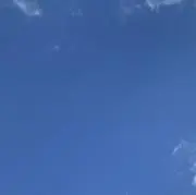 ankoの画像