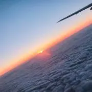 うさぎの画像