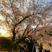 まめかりの画像