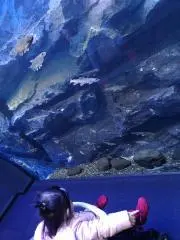 あこ♪の画像
