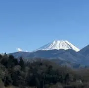 いなほの画像