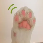 ただピヨピヨ☆