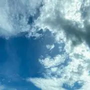 ちょびの画像