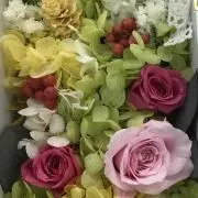 よつばの画像