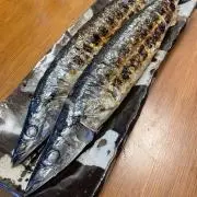 Tsuda