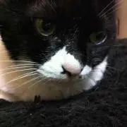 ゆみ
