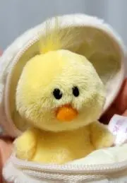 にゃも