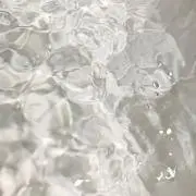 sumiの画像