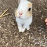 大切に贈ります。の画像