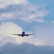 umiの画像