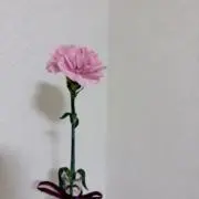 はるの画像