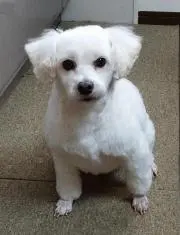 MAXの画像