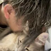 kjの画像