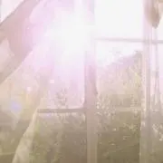 猫まつり@WWF WWE断捨離の画像
