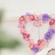きのこ(激安出品)の画像