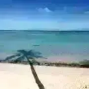SK  【プロフ必読】の画像
