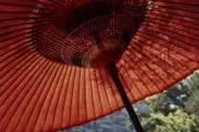 ももの画像