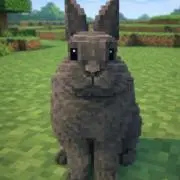 うさぎ