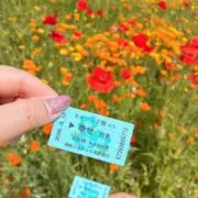 みるあめの画像