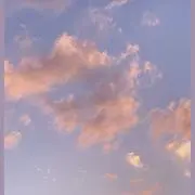 m☽︎‪︎次回発送3/5以降