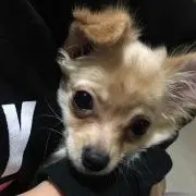 めぐみの画像