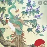 ウズメの画像