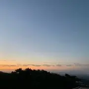 しまのこ
