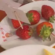 雛苺の画像